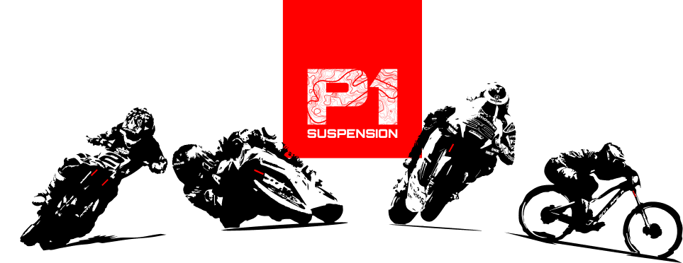P1 SUSPENSION